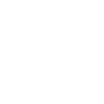 haussman-group-icon